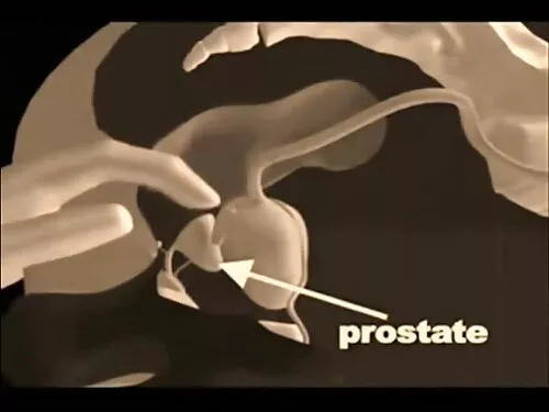 نجمة موقع افلام سكس  ...